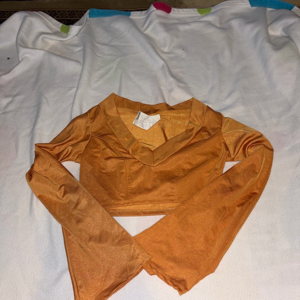 Women’s Rust Orange V-Neck Long Sleeve Crop Top